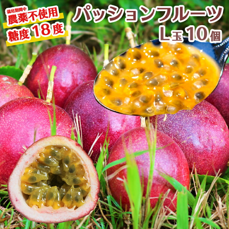 【ふるさと納税】<br>数量限定 糖度18度 パッションフルーツ果実 10個入り 国産 くだもの 果実ビタミンC カリウム 食物繊維 栄養満点 酸味 甘い 旬のフルーツ トロピカルフルーツ 南国フルーツ【8月～10月下旬に順次発送】
