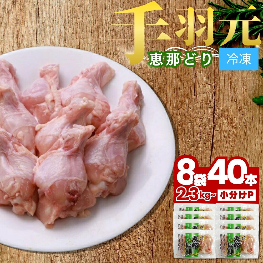 【ふるさと納税】恵那どり 手羽元 5本 × 8パック 冷凍【トーノーデリカ】小分け 真空パック 個包装 恵那どり 鶏肉 鳥肉 送料無料 とりにく えなどり てばもと 岐阜県 中津川市 ご入金確認後1週間～２週間程度で発送（お盆期間・年末年始の繁忙期は遅れる恐れ） F4N-0438