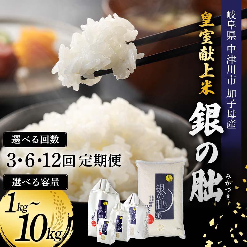 【ふるさと納税】【定期便】皇室献上米 銀の朏 (ぎんのみかづき) 量&お届け回数が選べる (1kg / 2kg / 3kg / 5kg / 10kg) 3回・6回・12回 岐阜県 中津川市 加子母産 いのちの壱【まん丸屋】化学肥料 不使用 希少 ブランド 米 白米 精米 国産 ご飯 お取り寄せ F4N-1140var