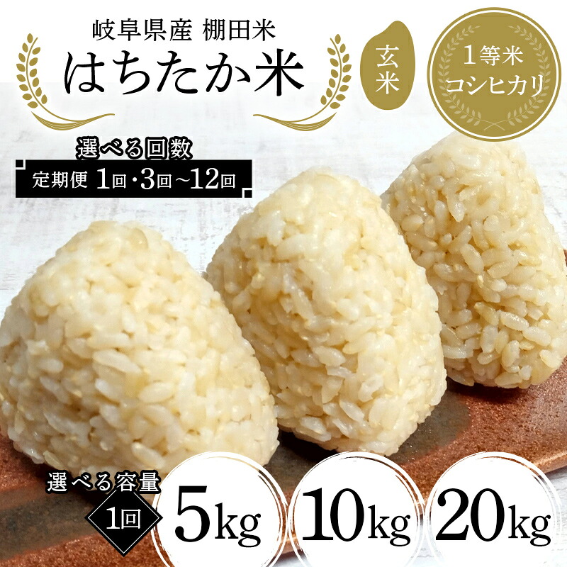 令和5年産✨一等米 20kg 希少コシヒカリ！はちたか米✨ 公式通販