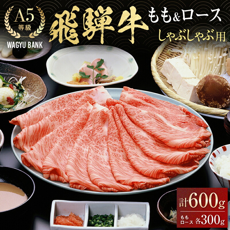 【ふるさと納税】飛騨牛 もも300g・ロース300g しゃぶしゃぶ用 計600g 飛騨牛 A5等級 和牛 黒毛和牛 F4N-2664