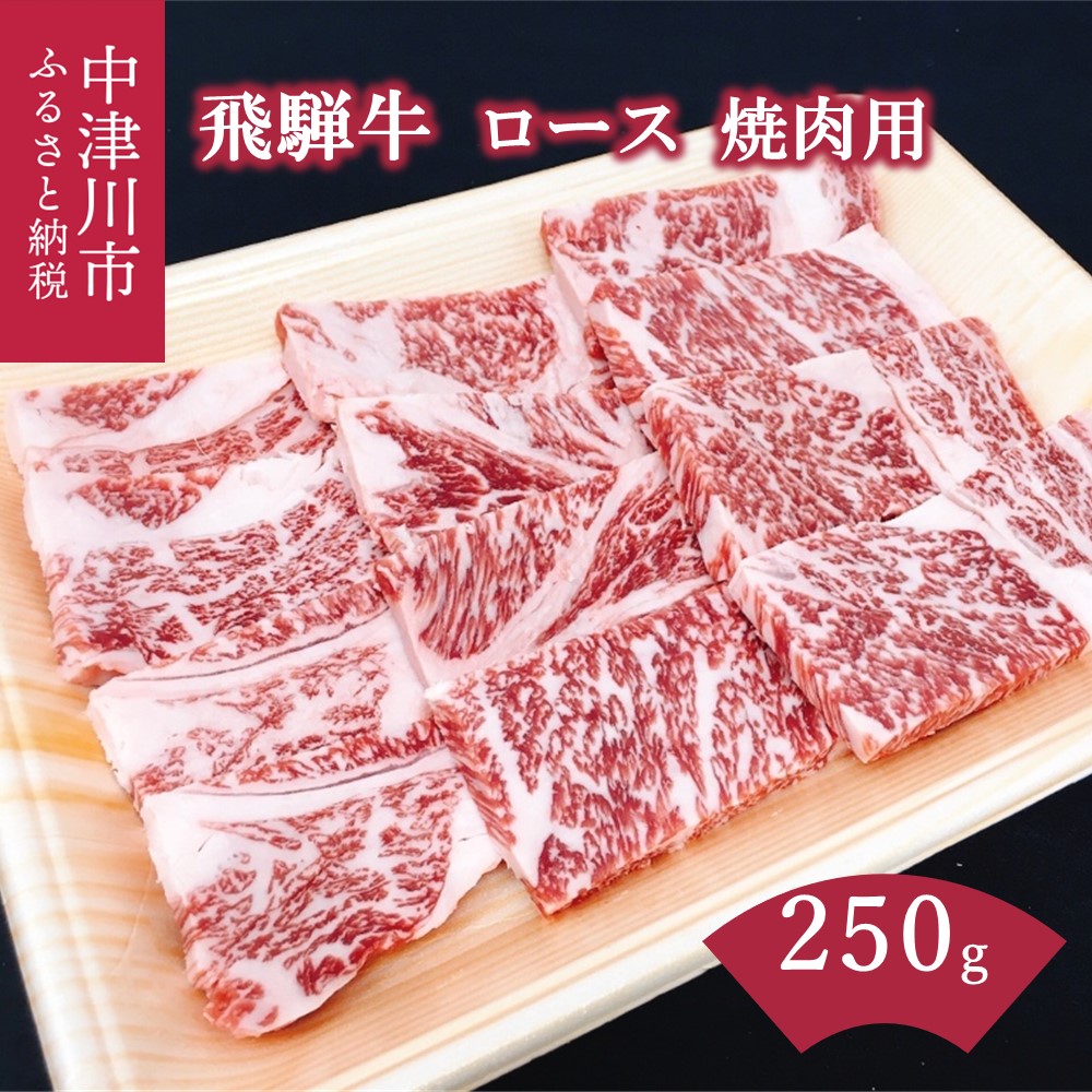 飛騨牛 ロース 焼肉用 250g バーベキュー キャンプ 10168 本日の目玉