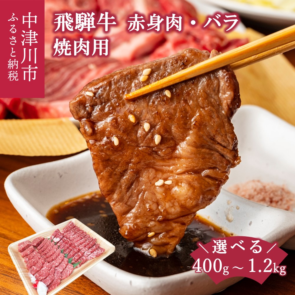 【ふるさと納税】飛騨牛 焼肉 用 量が選べる (400g / 800g / 1.2kg) 赤身 バラ 詰め合わせ 冷凍【熊崎畜産】肉 国産 牛肉 高級 黒毛和牛 人気 ブランド 和牛 お祝い 記念日 誕生日 バーベキュー キャンプ アウトドア BBQ 鉄板焼き お取り寄せ 岐阜県 中津川市 F4N-0609var｜岐阜県中津川市