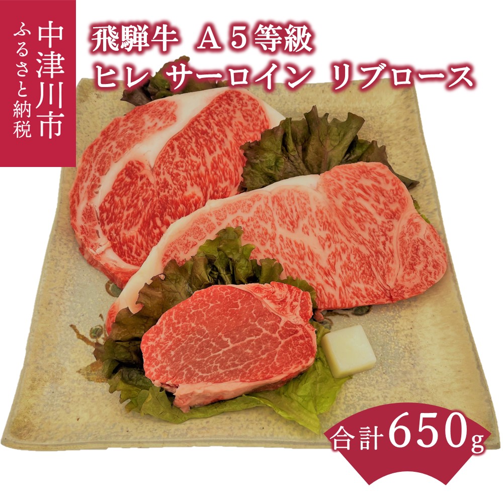 【ふるさと納税】【数量限定 チルド 冷蔵 発送】飛騨牛 A5 等級 ヒレ・サーロイン・リブロース 鉄板焼き 網焼き 焼肉 バーベキュー BBQ F4N-1251|岐阜県中津川市