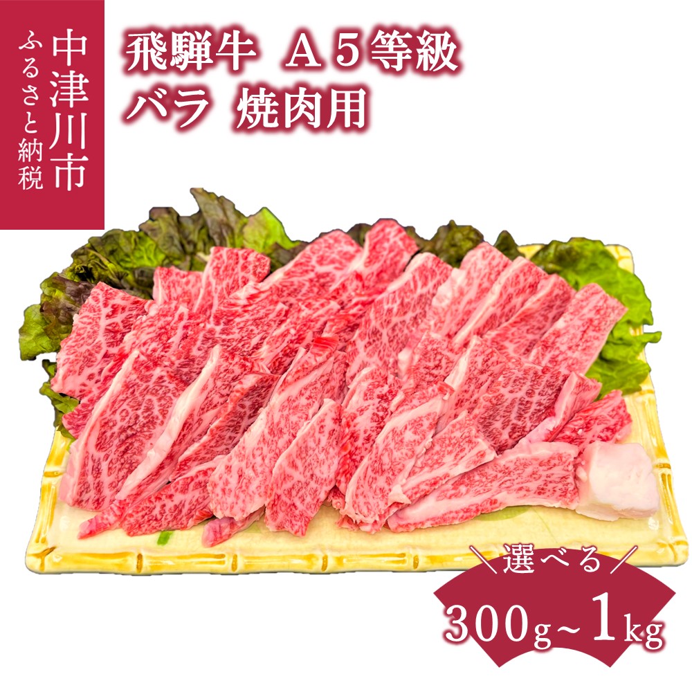 【ふるさと納税】【数量限定 チルド 冷蔵 発送】飛騨牛 A5 等級 バラ 内容量が選べる( 300g 500g 1kg ) 焼肉 鉄板焼き 網焼き バーベキュー BBQ キャンプ アウトドア 国産 牛肉 高級 黒毛和牛 人気 ブランド お祝い 記念日 誕生日お取り寄せ 岐阜県 中津川市 F4N-1224var|岐阜県中津川市