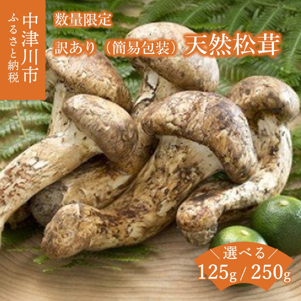 北海道　松茸　350g 特大 楽天市場】【ふるさと納税】＜先行受付中＞秋の味覚の王様「松茸