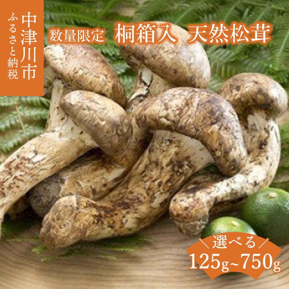 北海道　松茸　350g　② 楽天市場】【ふるさと納税】＜先行受付中＞秋の味覚の王様「松茸