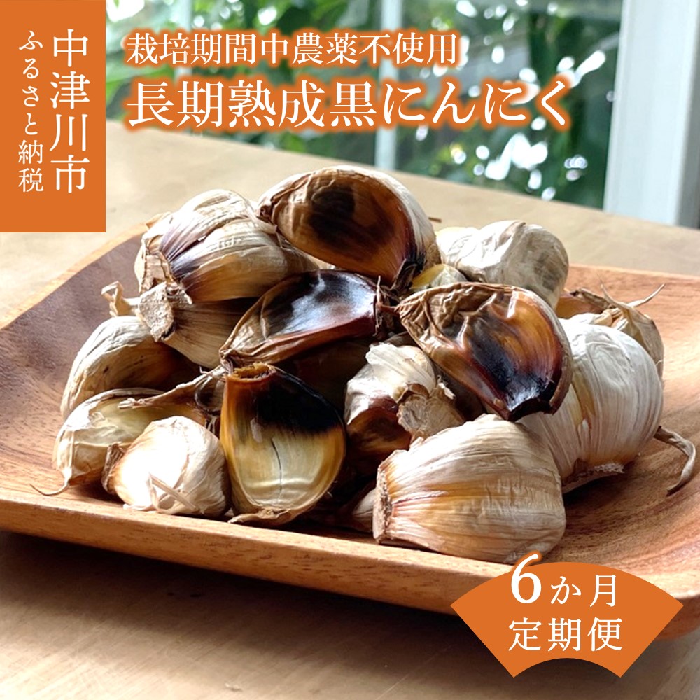 【ふるさと納税】【6ヶ月定期便】長期低温熟成 黒にんにく バラ 300g × 6回 岐阜県 中津川産 ニンニク 使用 農薬不使用 お取り寄せ 送料無料 F4N-0457