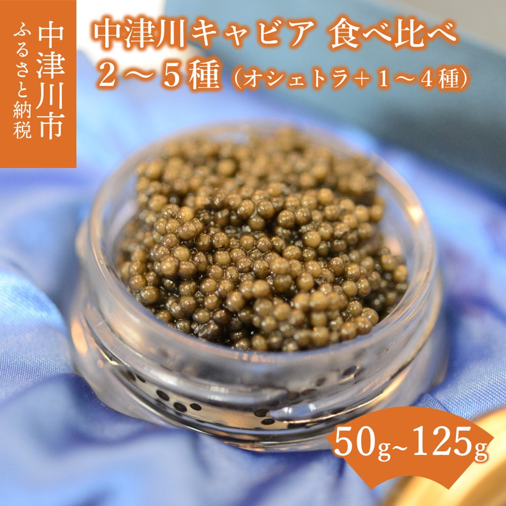 カリブ海の大きな壷 110-005_oya.jpg