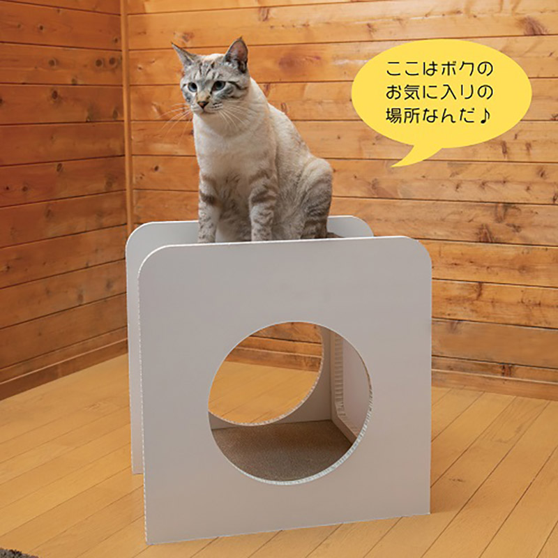 15180円 良質 23006 猫のつめとぎ House しかく ぷらすはうすしかく