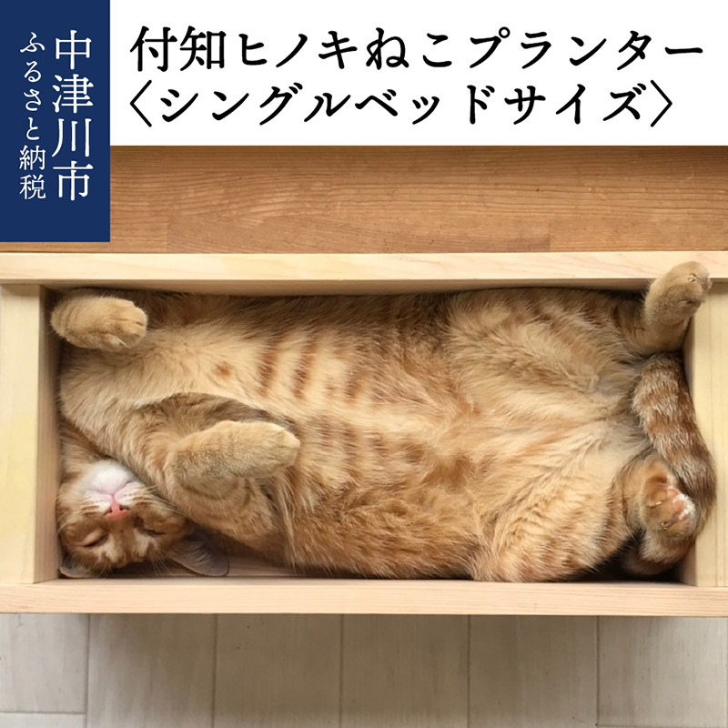 楽天市場】【ふるさと納税】猫ちゃん想いの猫型フードスタンド・ミニ（オレンジ）：福岡県小郡市