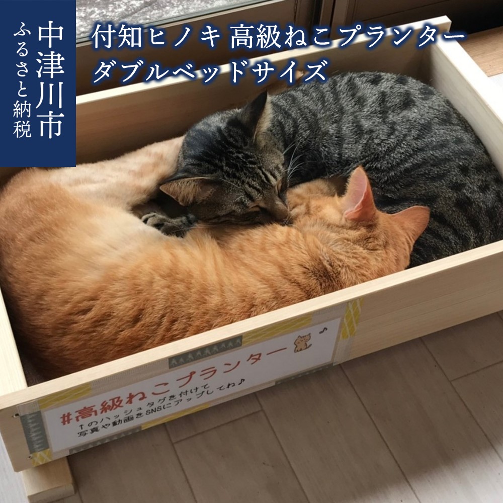 楽天市場】【ふるさと納税】23006 猫のつめとぎ＋House「しかく」（ぷらすはうすしかく） : 岐阜県中津川市