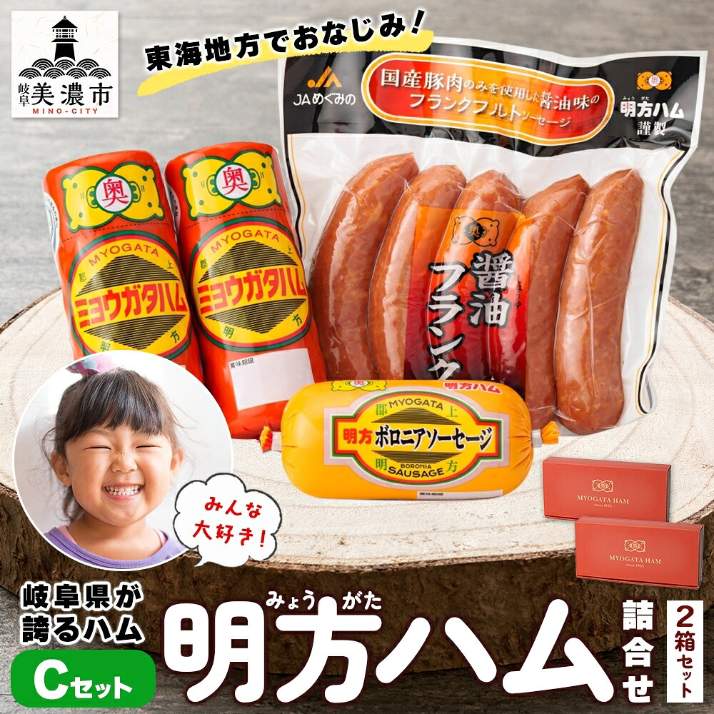 【ふるさと納税】明方 ハム Bセット ボロニア ソーセージ フランクフルト JA ブランド 豚肉 お肉 国産 熟成 塩分 控えめ 豚腸 バーベキュー BBQ 加工品 お取り寄せ 贈答 ギフト 送料無料 めぐみの農業協同組合 岐阜県 美濃市