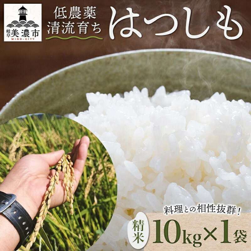 【ふるさと納税】＜先行予約＞令和7年産 はつしも 精米 10kg×1袋 低農薬 清流育ち 新米 お米 白米 米 ごはん ご飯 ハツシモ R7年産 ブランド米 産地直送 送料無料 美濃グリーン 岐阜県 美濃市 ■2025年11月下旬より順次発送　お届け：2025年11月下旬より順次発送