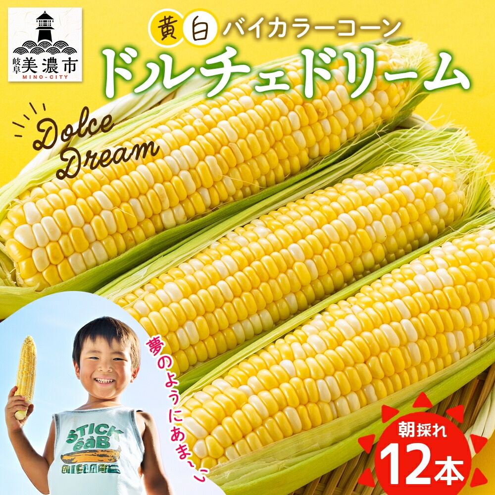 【ふるさと納税】とうもろこし ドルチェドリーム 300g以上×12本 約3.6kg コーン もろこし バイカラー 白 黄 低農薬 高糖度 18度 甘い ジューシー 野菜 おやつ 旬 産地直送 送料無料 美濃グリーン 岐阜県 美濃市　お届け：2025年6月下旬～2025年7月中旬