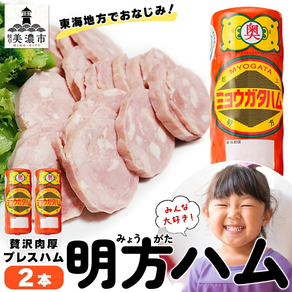 【ふるさと納税】明方 ハム 2本 プレスハム JA ブランド 豚肉 お肉 国産 熟成 塩分 控えめ 豚腸 バーベキュー BBQ 加工品 お取り寄せ 贈答 ギフト 送料無料 めぐみの農業協同組合 岐阜県 美濃市
