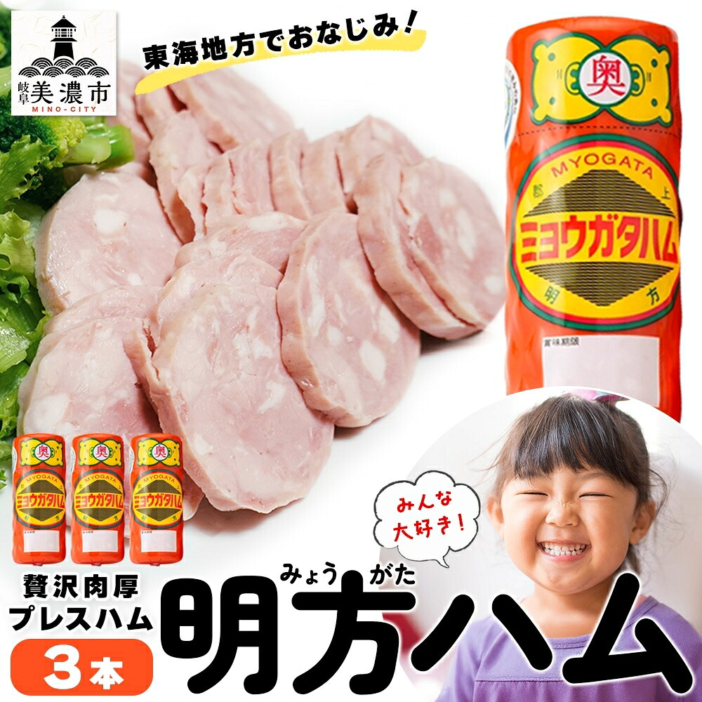 【ふるさと納税】明方 ハム 3本 プレスハム JA ブランド 豚肉 お肉 国産 熟成 塩分 控えめ 豚腸 バーベキュー BBQ 加工品 お取り寄せ 贈答 ギフト 送料無料 めぐみの農業協同組合 岐阜県 美濃市