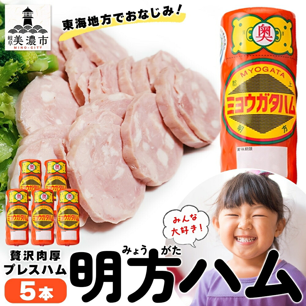 【ふるさと納税】明方 ハム 5本 プレスハム JA ブランド 豚肉 お肉 国産 熟成 塩分 控えめ 豚腸 バーベキュー BBQ 加工品 お取り寄せ 贈答 ギフト 送料無料 めぐみの農業協同組合 岐阜県 美濃市