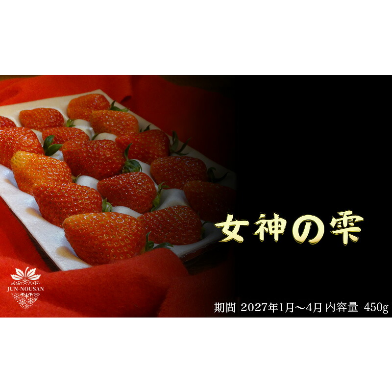 【ふるさと納税】「今までで1番うまい」とうなったイチゴ【女神の雫】 2026年1月 2月 3月 4月 450g 岐阜県 美濃市 じゅん農産 1 苺　お届け：2026年1月1日～4月30日まで
