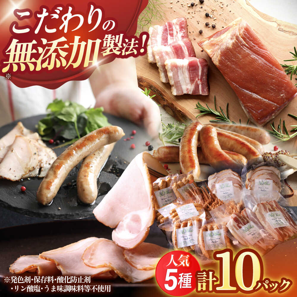 【ふるさと納税】中山道ハム 人気5種 10パック ソーセージ ハム ベーコン 冷凍 瑞浪市 / オーガニックフーズ お取り寄せ 小分け 手作り 無塩せき 発色剤 保存料 無添加[AZAK002]