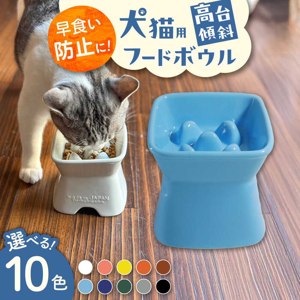 【献ずる額10万円以上】生存期間モノと出会う、幸いの選りわける。高価しっぺい返し特集