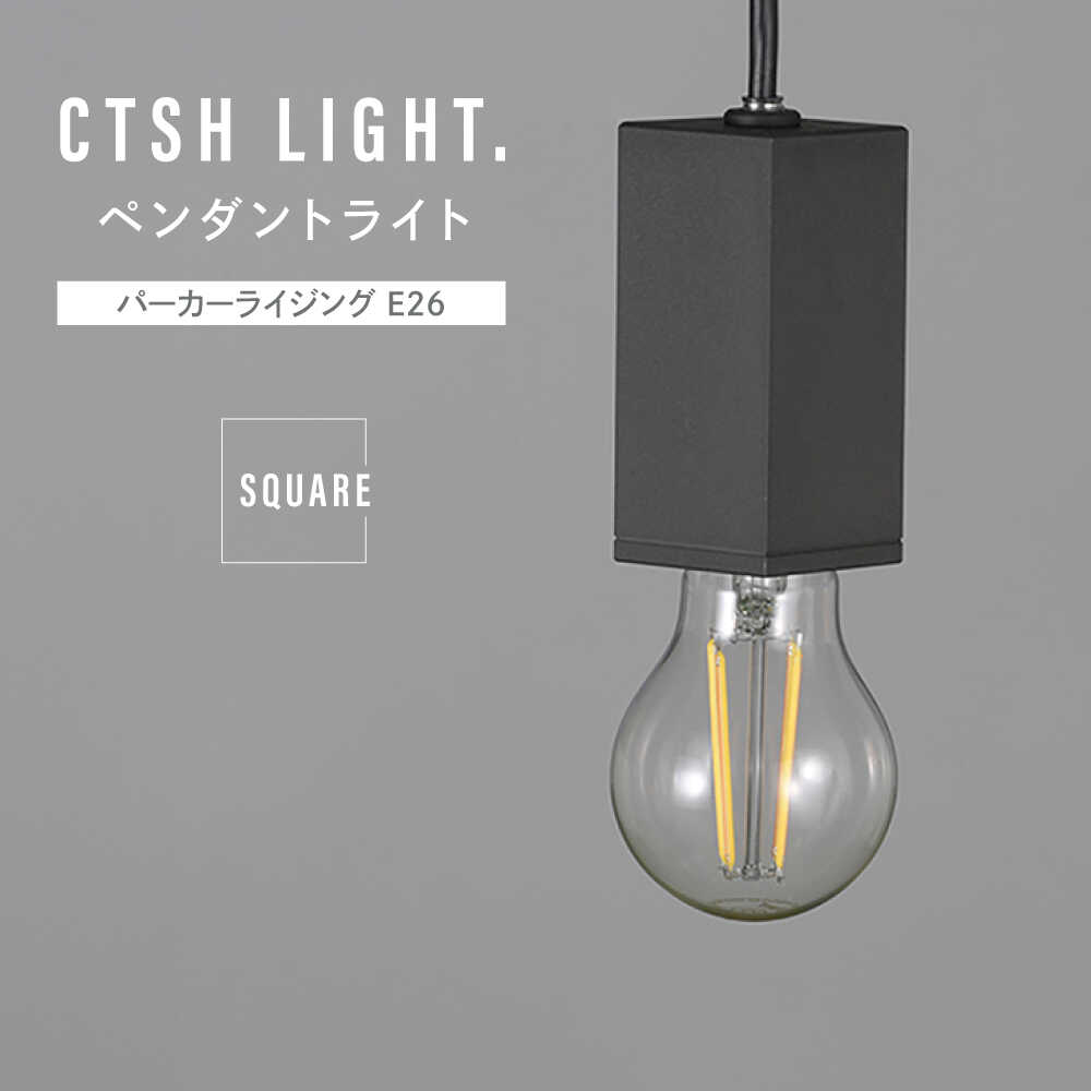 【ふるさと納税】CTSH LIGHT. ペンダントライト＜SQUARE パーカーライジング E26＞ 瑞浪市 / ジオニック 照明器具 ソケット 鉄 ブラック[AZBQ098]
