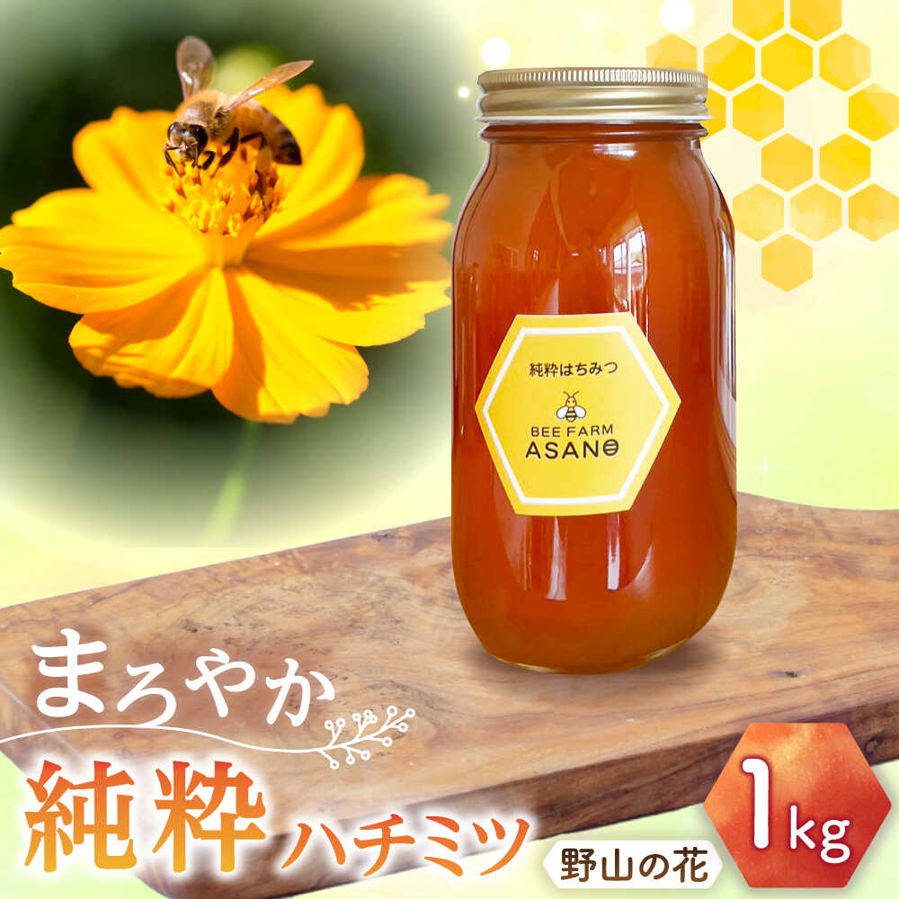 【ふるさと納税】純粋ハチミツ 野山の花 1,000g×1 瑞浪市 / honey shop Bee farm asano 蜂蜜 はちみつ[AZBT006]