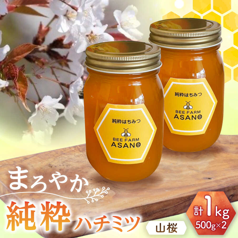 【ふるさと納税】純粋ハチミツ 山桜 500g×2 瑞浪市 / honey shop Bee farm asano 蜂蜜 はちみつ[AZBT009]