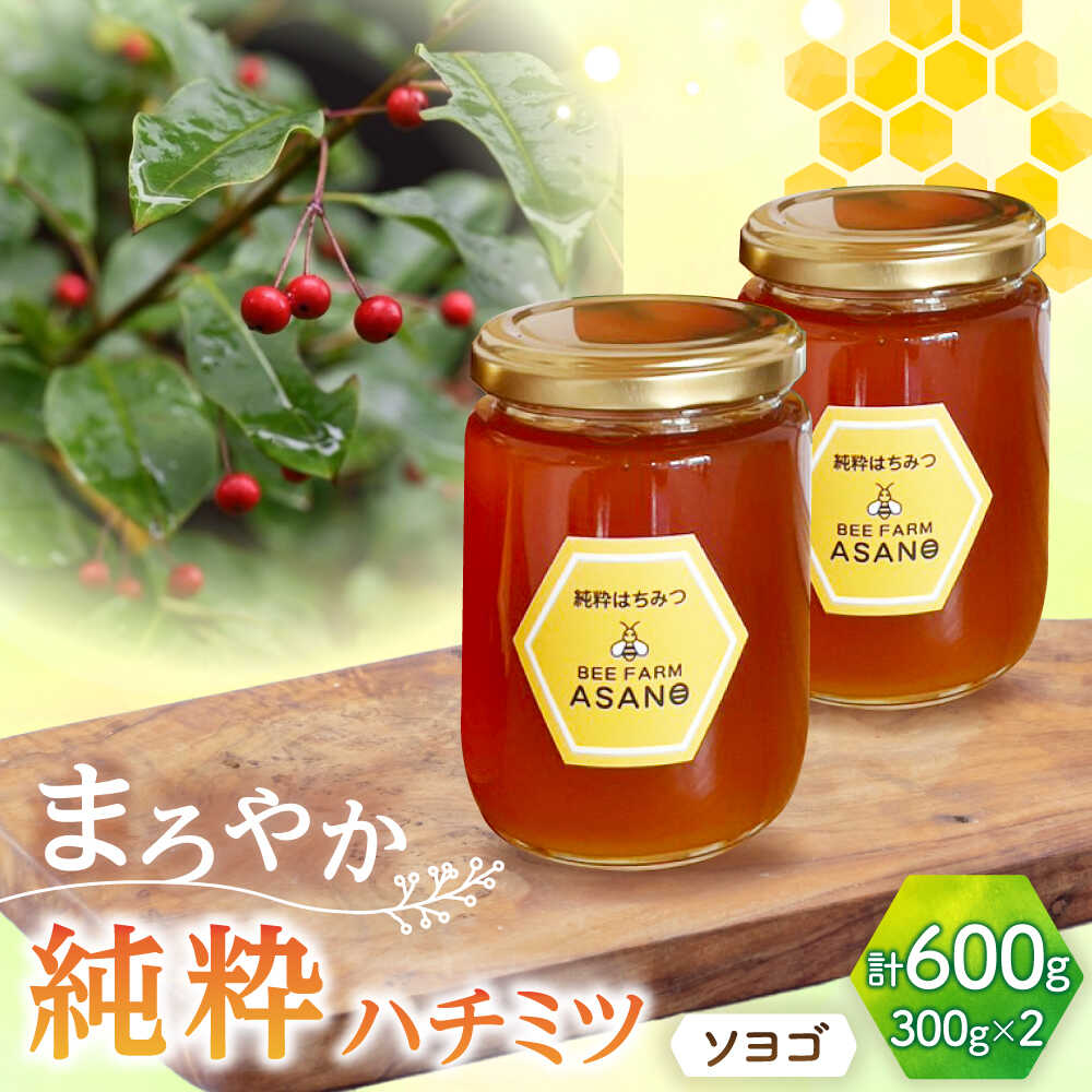 【ふるさと納税】純粋ハチミツ ソヨゴ 300g&times;2 瑞浪市 / honey shop Bee farm asano 蜂蜜 はちみつ[AZBT010]｜岐阜県瑞浪市