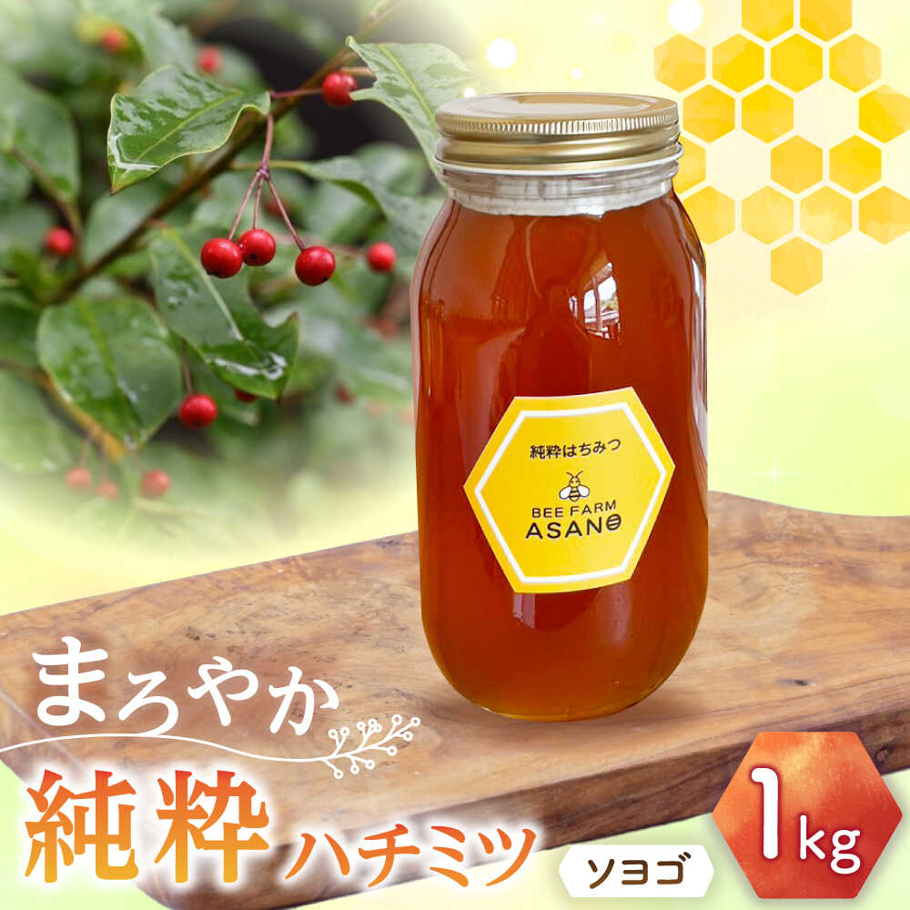 【ふるさと納税】純粋ハチミツ ソヨゴ 1,000g×1 瑞浪市 / honey shop Bee farm asano 蜂蜜 はちみつ[AZBT012]