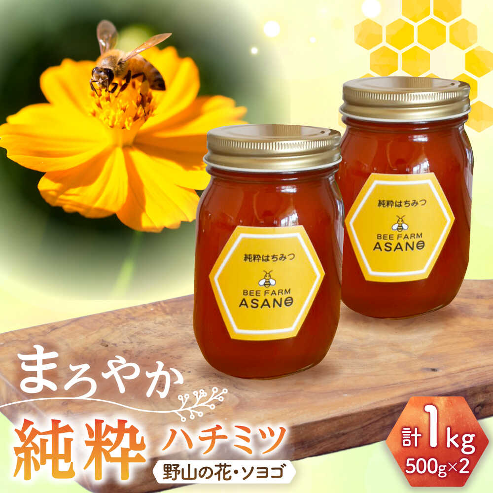 【ふるさと納税】純粋ハチミツ 2種セット (野山の花500g×1 ソヨゴ500g×1) 瑞浪市 / honey shop Bee farm asano 蜂蜜 はちみつ[AZBT014] 12,780円