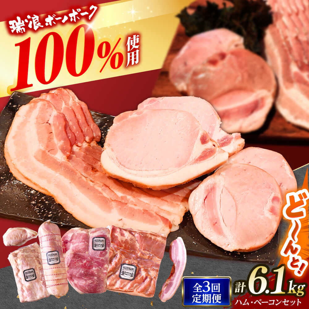 【ふるさと納税】【3回定期便】 ハム・ベーコン ブロック セット 瑞浪ボーノポーク 6.1kg (冷凍) 瑞浪市 / きなぁた瑞浪 詰め合わせ ギフト[AZCI113]｜岐阜県瑞浪市
