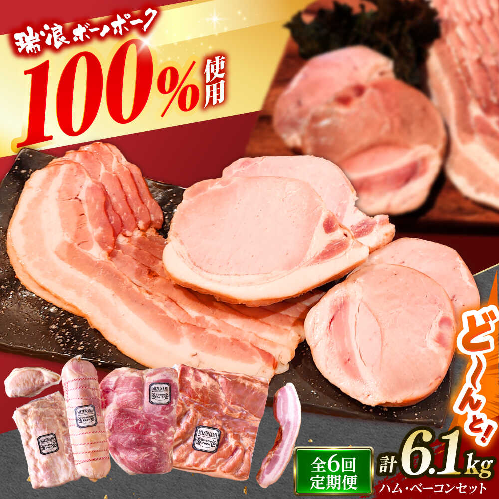 【ふるさと納税】【6回定期便】 ハム・ベーコン ブロック セット 瑞浪ボーノポーク 6.1kg (冷凍) 瑞浪市 / きなぁた瑞浪 詰め合わせ ギフト[AZCI114]｜岐阜県瑞浪市 396,450円