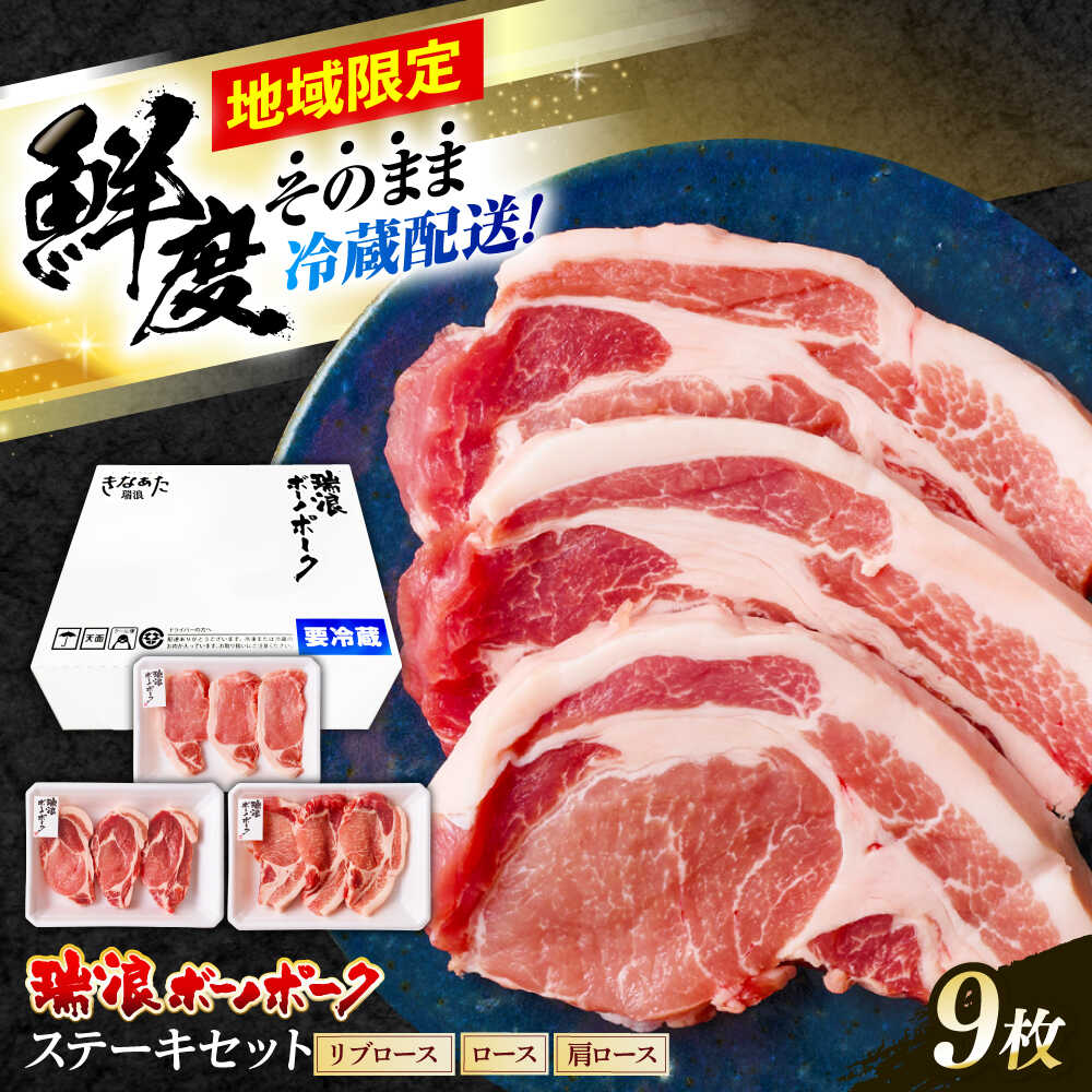 【ふるさと納税】※冷蔵配送/地域限定※ 岐阜県産 豚 瑞浪ボーノポーク ステーキ 1kg 食べ比べセット (リブロース・ロース・肩ロース) 瑞浪市 / きなぁた瑞浪[AZCI023]｜岐阜県瑞浪市