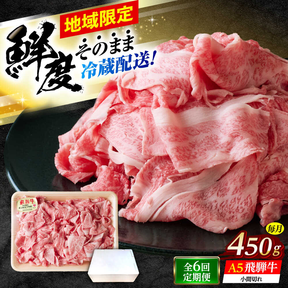 【ふるさと納税】【6回定期便】 ※冷蔵配送/地域限定※ 飛騨牛 小間切 450g 瑞浪市 / きなぁた瑞浪 和牛 国産 岐阜県産[AZCI069] 44,850円