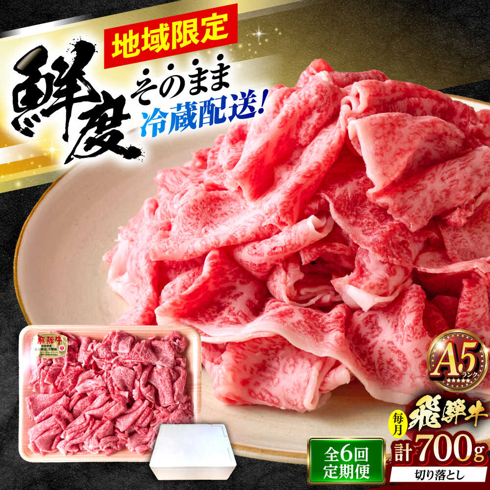【ふるさと納税】【6回定期便】 ※冷蔵配送/地域限定※ 飛騨牛 切落し (モモまたはカタ) 700g 瑞浪市 / きなぁた瑞浪 和牛 国産 岐阜県産[AZCI075]