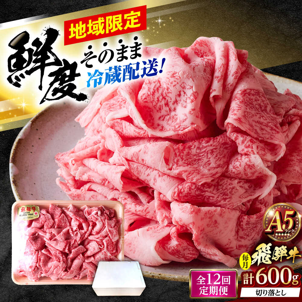 【ふるさと納税】【12回定期便】 ※冷蔵配送/地域限定※ 飛騨牛 切落し (ロースまたは肩ロース) 600g 瑞浪市 / きなぁた瑞浪 和牛 国産 岐阜県産[AZCI079]