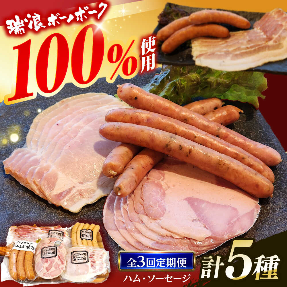 【ふるさと納税】【3回定期便】 ハム・ソーセージ 瑞浪ボーノポーク お試し 5種セット 600g (冷凍) 瑞浪市 / きなぁた瑞浪 詰め合わせ ギフト[AZCI098]｜岐阜県瑞浪市