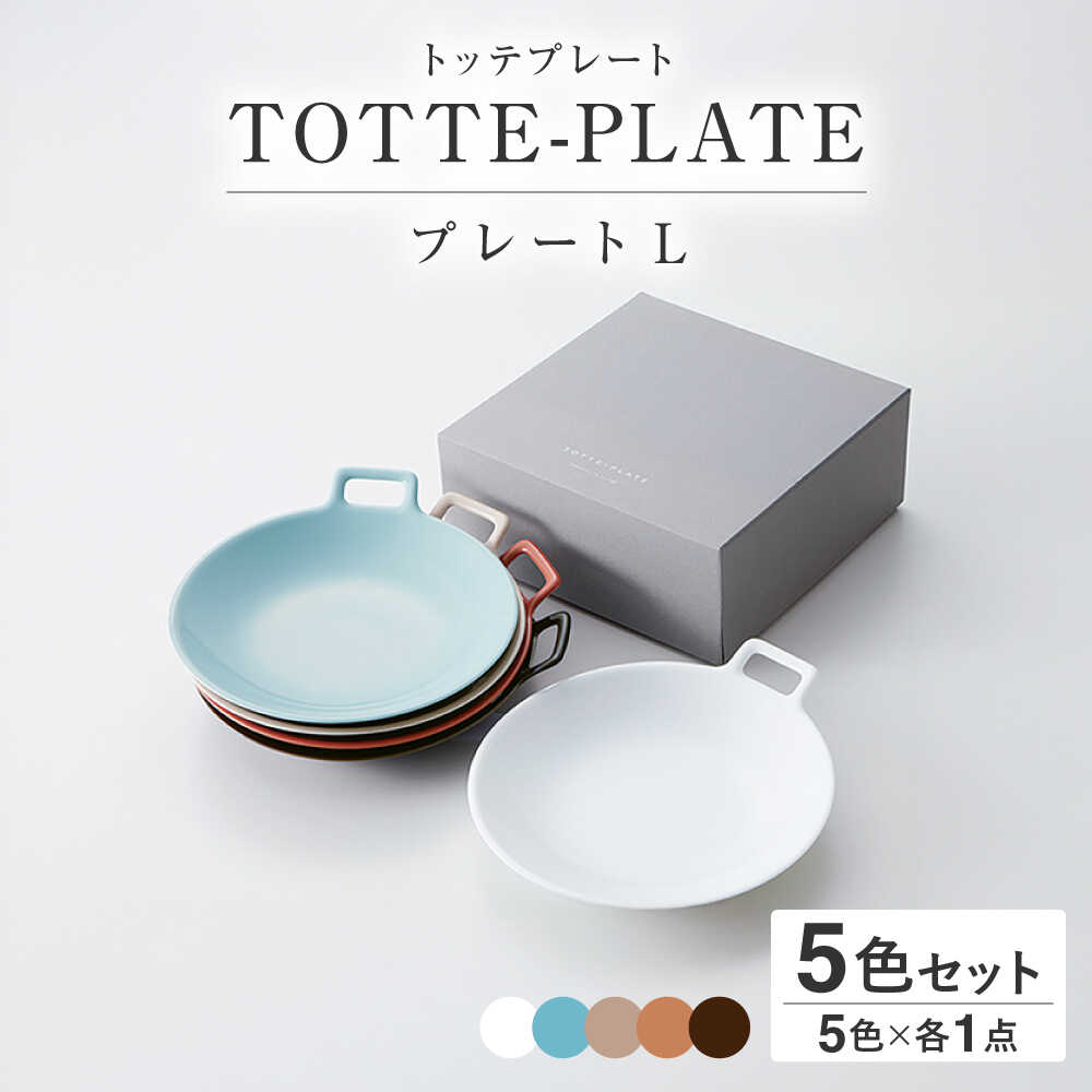 【ふるさと納税】【美濃焼】 miyama. TOTTE-PLATE (トッテプレート) プレートL 5色組 瑞浪市 / ミヤマプランニング 食器 皿[AZCM075]｜岐阜県瑞浪市