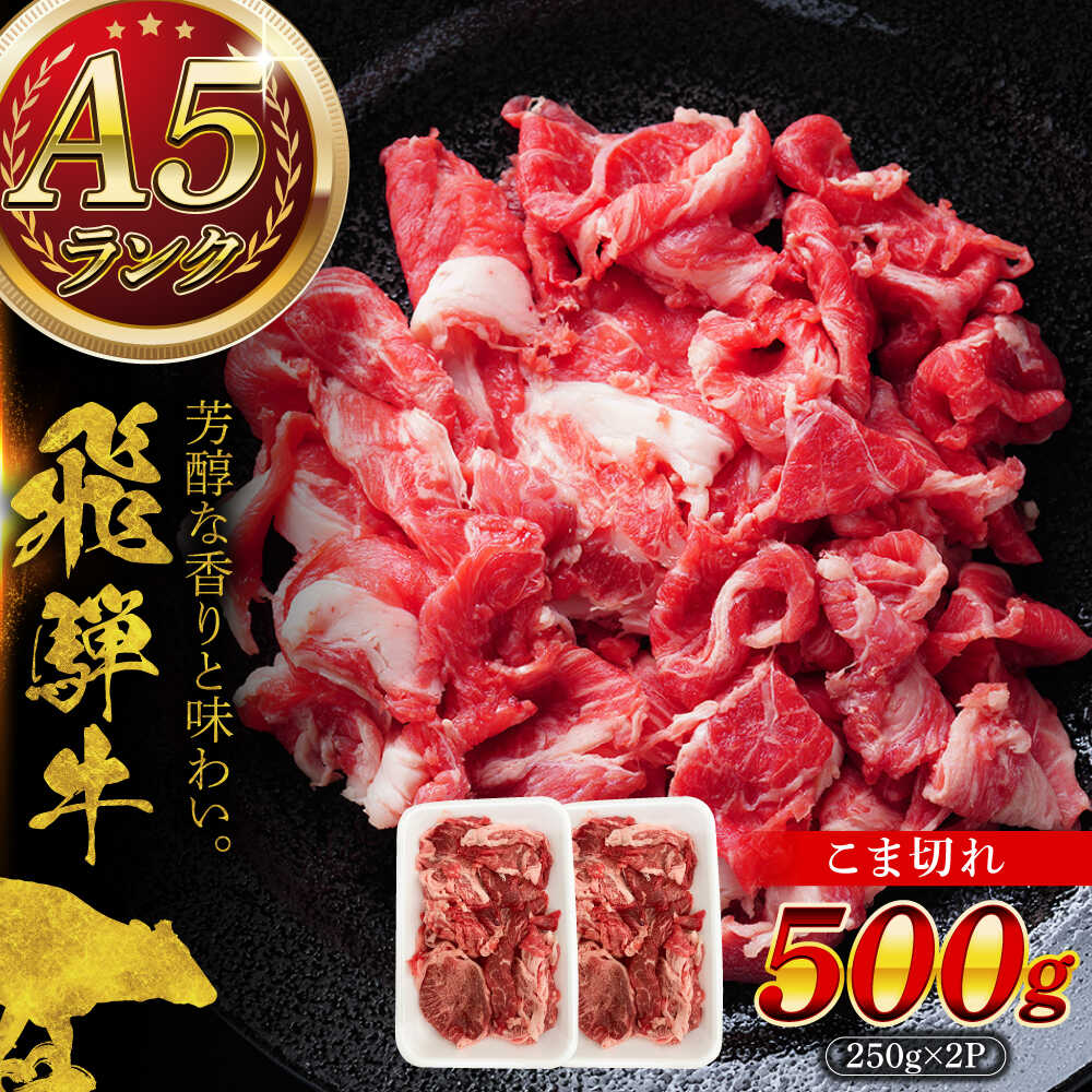 【ふるさと納税】A5等級 飛騨牛 こま切れ 500g (250g×2P) 瑞浪市 / マルチョウ渡辺精肉店 牛肉 和牛 国産 ギフト お取り寄せ[AZCW003]