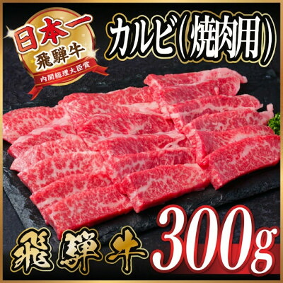 【ふるさと納税】飛騨牛　厳選カルビ(焼肉・BBQ用)300g～【冷凍便】A4～A5等級　黒毛和牛 _ 飛騨牛 黒毛和牛 カルビ 焼肉 BBQ バーベキュー 牛肉 和牛 精肉 肉 旨み おすすめ アウトドア キャンプ お取り寄せ グルメ 岐阜県 送料無料 【配送不可地域：離島】【G1487353】｜岐阜県羽島市