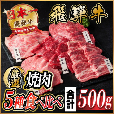 【ふるさと納税】飛騨牛 焼肉厳選5種食べ比べセット(カルビ・トモサンカク・モモ・ロース・カイノミ)約500gタレ付き【配送不可地域：離島】【1532665】