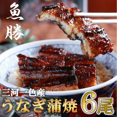 【ふるさと納税】三河一色産うなぎ蒲焼　6尾〈計約960g〉【配送不可地域：離島】【1532721】