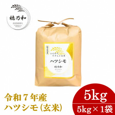 【ふるさと納税】【先行予約】令和7年産　岐阜県産ハツシモ(玄米)5kg【配送不可地域：離島】【1540548】