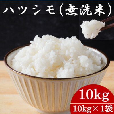 【ふるさと納税】ハツシモ(無洗米)10kg【選べるお届け回数1回・2回・3回・4回・5回・6回・9回・12回定期便】【配送不可地域：離島】【G1540853】 19,600円