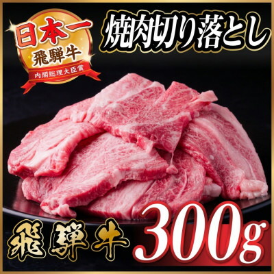 【ふるさと納税】飛騨牛 焼肉切り落とし 【選べるお届け回数/1回・3回・4回・5回・6回】300g~ タレ付 訳あり_ 飛騨牛 黒毛和牛 焼肉 切り落とし 厚切り 肉厚 訳あり タレ付き 牛肉 和牛 美味しい お取り寄せ 岐阜県 送料無料 【配送不可地域:離島】【G1543362】|岐阜県羽島市