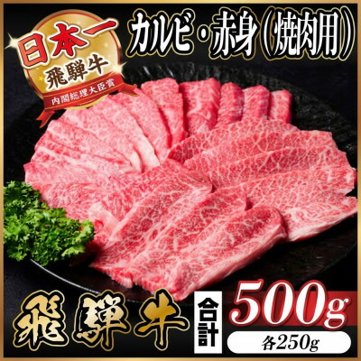 【ふるさと納税】飛騨牛　厳選カルビ・赤身(焼肉・BBQ用)500g(各250g)～　A4～A5等級 小分け_ 牛肉 飛騨牛 国産牛 カルビ 赤身 焼肉 BBQ A4 A5 モモ カタ 冷凍 人気 おすすめ 送料無料 贈答 ギフト 【配送不可地域：離島】【G1543764】