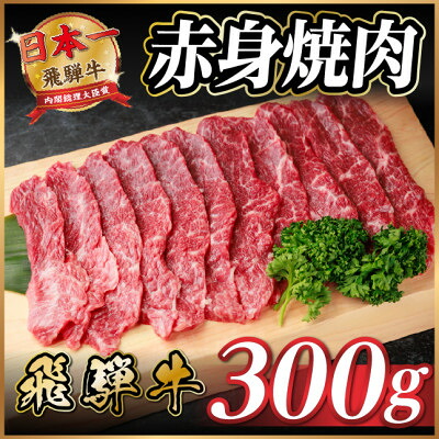 【ふるさと納税】飛騨牛 赤身(焼肉・BBQ用) 約300g【冷蔵便】A4～A5等級 黒毛和牛【配送不可地域：離島】【1646121】｜岐阜県羽島市