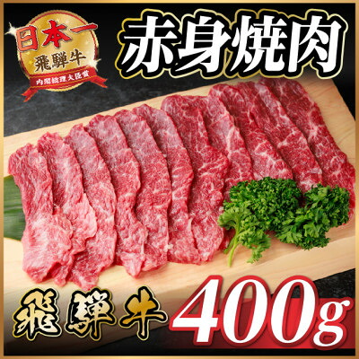 【ふるさと納税】飛騨牛 赤身(焼肉・BBQ用) 約400g【冷蔵便】A4～A5等級 黒毛和牛【配送不可地域：離島】【1646132】｜岐阜県羽島市 10,260円