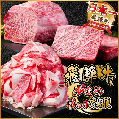【ふるさと納税】【毎月定期便】飛騨牛 少なめ定期便 計1kg【冷蔵便】全3回 赤身ステーキ 切り落とし 赤身ブロック【配送不可地域：離島】【4055497】｜岐阜県羽島市